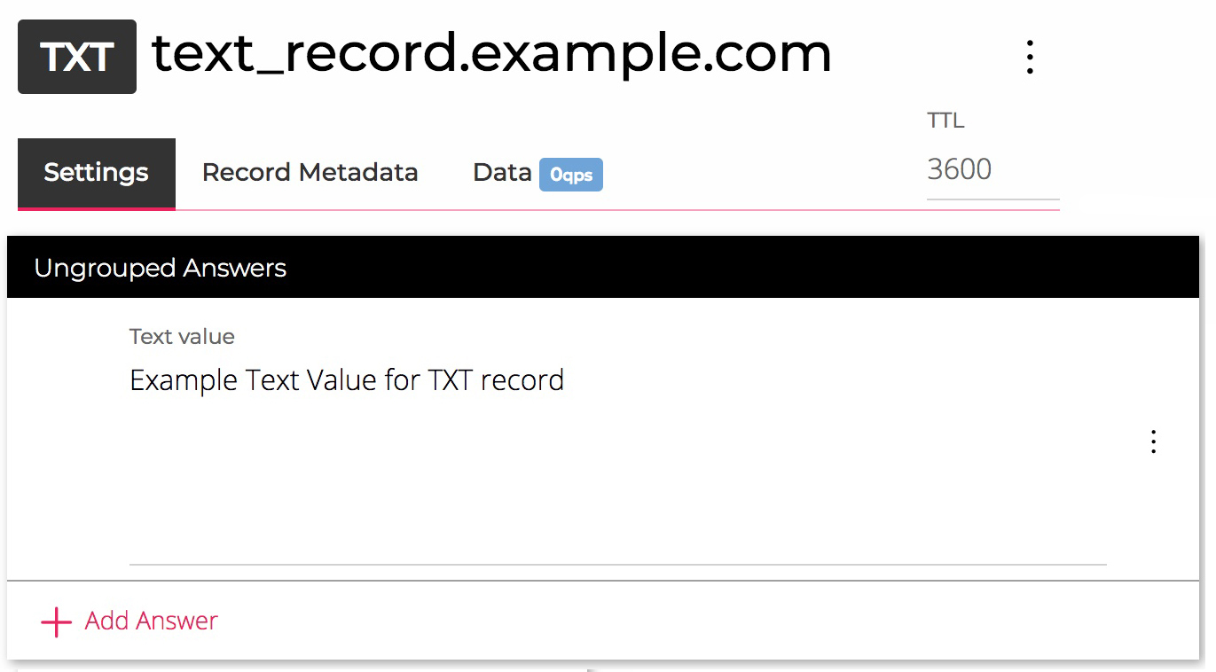 TXT Record یکی از انواع رکورد DNS